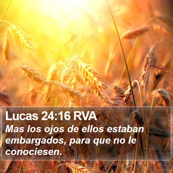 Lucas 24:16 RVA Bible Study