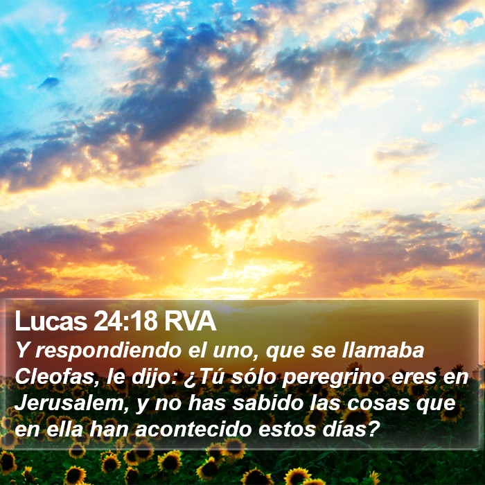 Lucas 24:18 RVA Bible Study