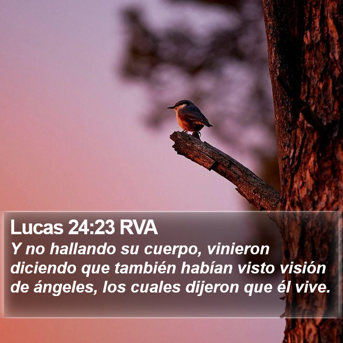 Lucas 24:23 RVA Bible Study