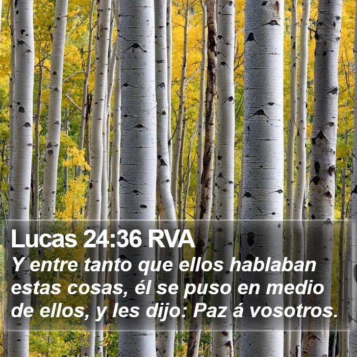 Lucas 24:36 RVA Bible Study