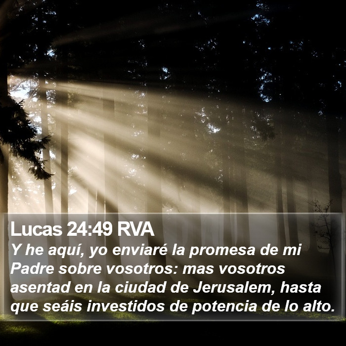 Lucas 24:49 RVA Bible Study