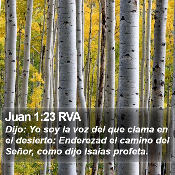 Juan 1:23 RVA Bible Study