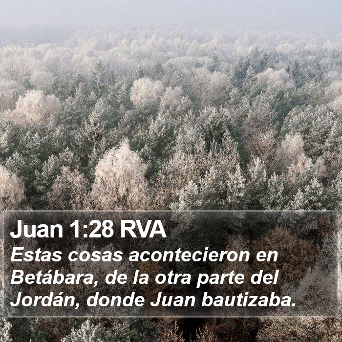 Juan 1:28 RVA Bible Study