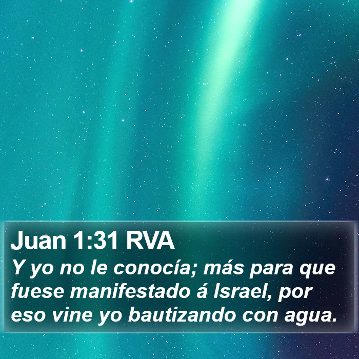 Juan 1:31 RVA Bible Study