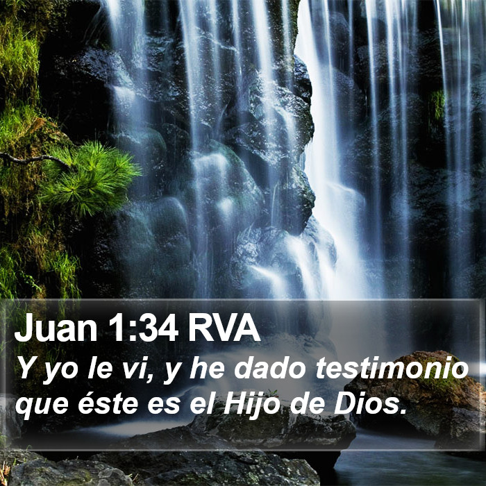 Juan 1:34 RVA Bible Study