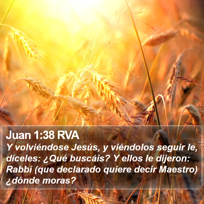 Juan 1:38 RVA Bible Study