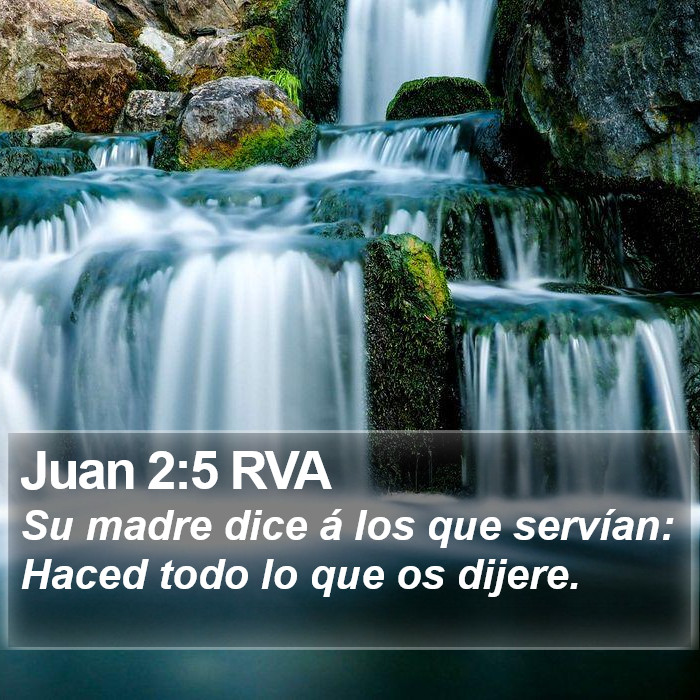 Juan 2:5 RVA Bible Study