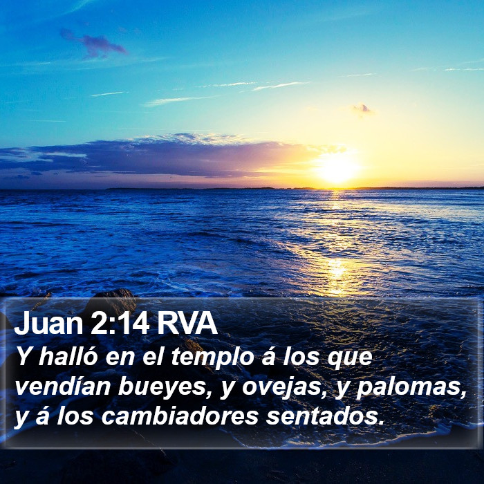 Juan 2:14 RVA Bible Study