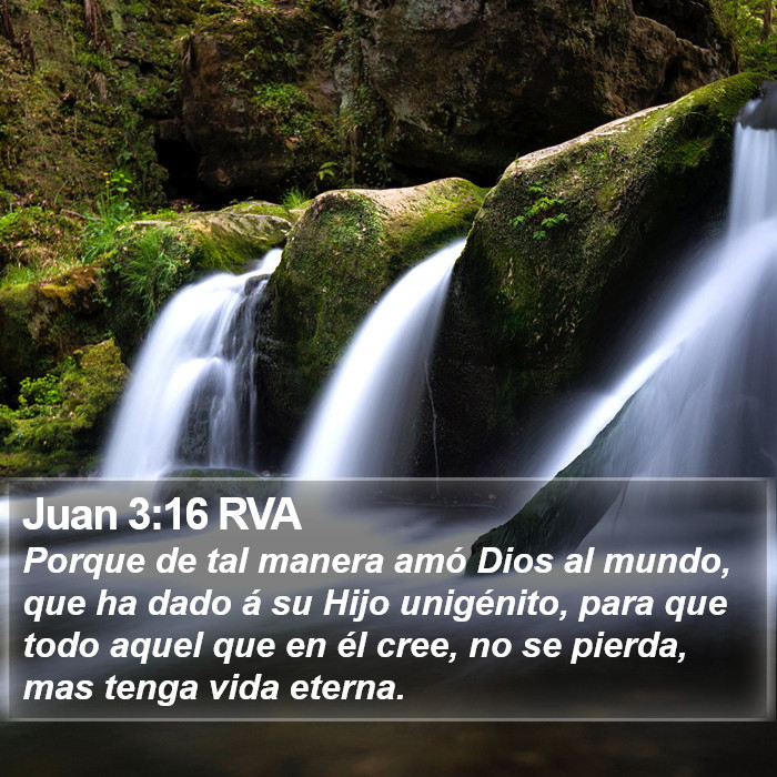 Juan 3:16 RVA Bible Study