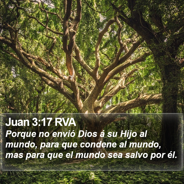 Juan 3:17 RVA Bible Study