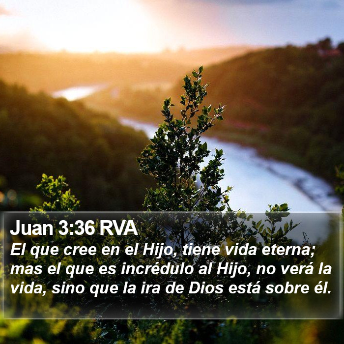 Juan 3:36 RVA Bible Study