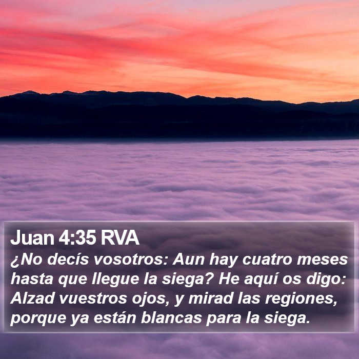 Juan 4:35 RVA Bible Study