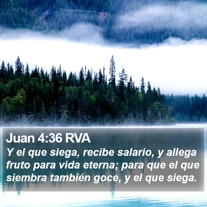 Juan 4:36 RVA Bible Study