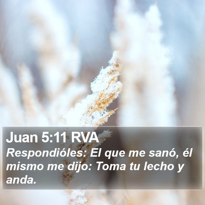 Juan 5:11 RVA Bible Study