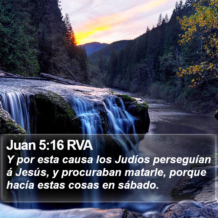 Juan 5:16 RVA Bible Study