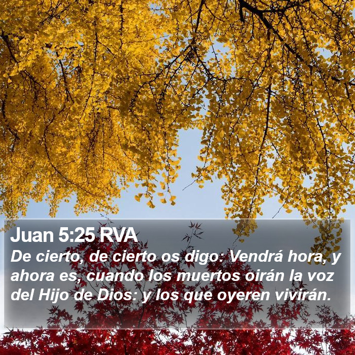 Juan 5:25 RVA Bible Study