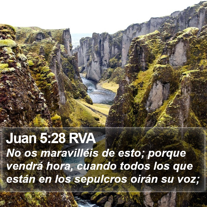 Juan 5:28 RVA Bible Study