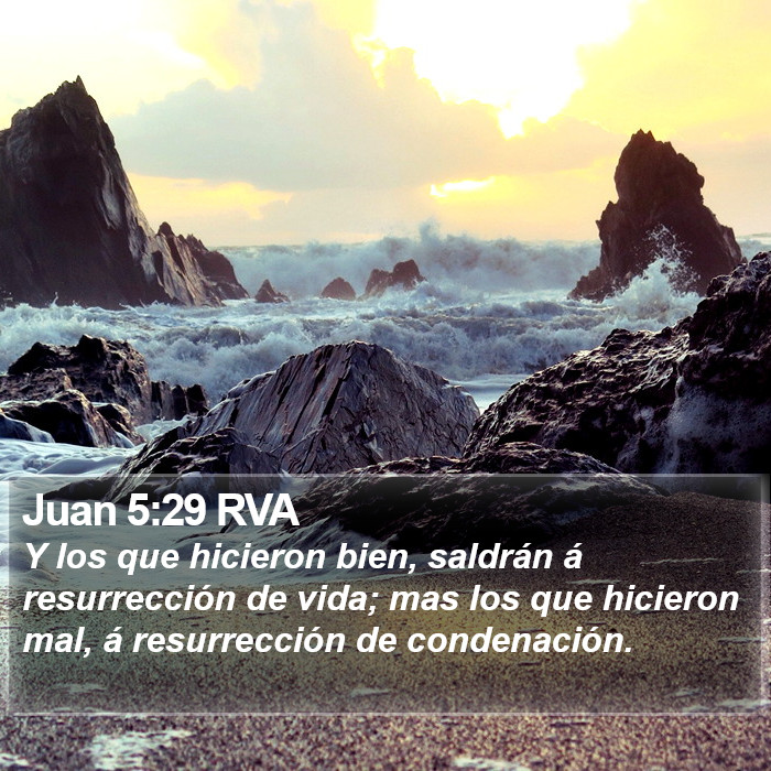 Juan 5:29 RVA Bible Study