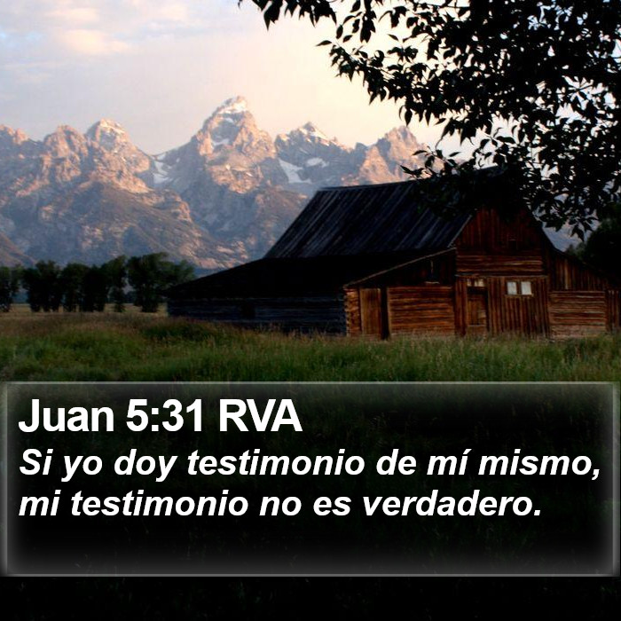 Juan 5:31 RVA Bible Study