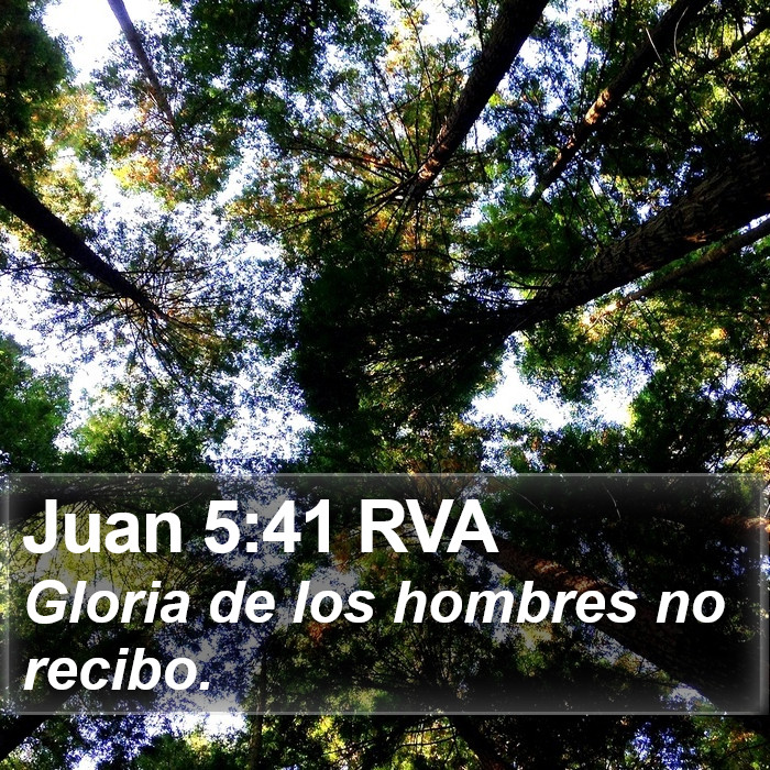 Juan 5:41 RVA Bible Study