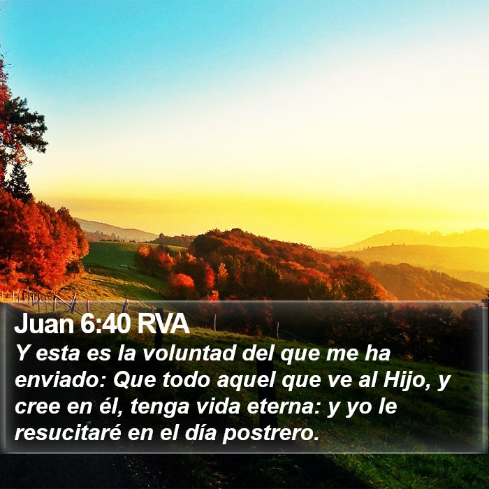 Juan 6:40 RVA Bible Study