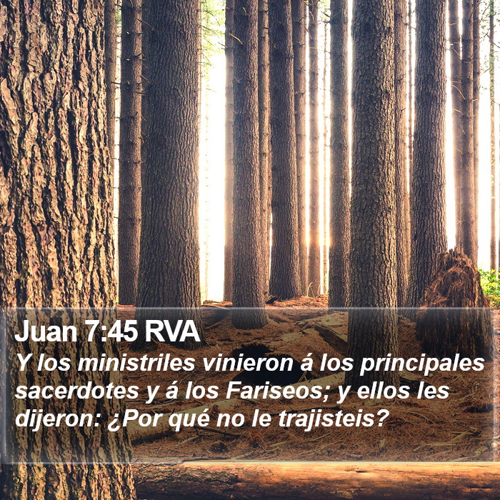 Juan 7:45 RVA Bible Study