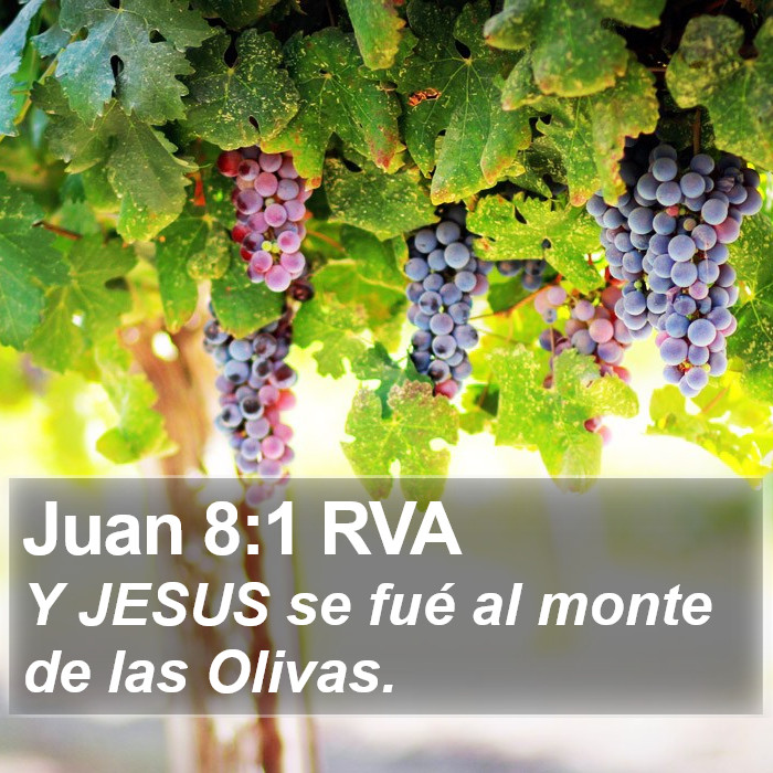 Juan 8:1 RVA Bible Study