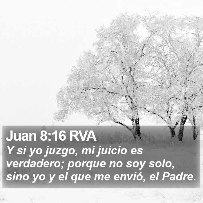 Juan 8:16 RVA Bible Study