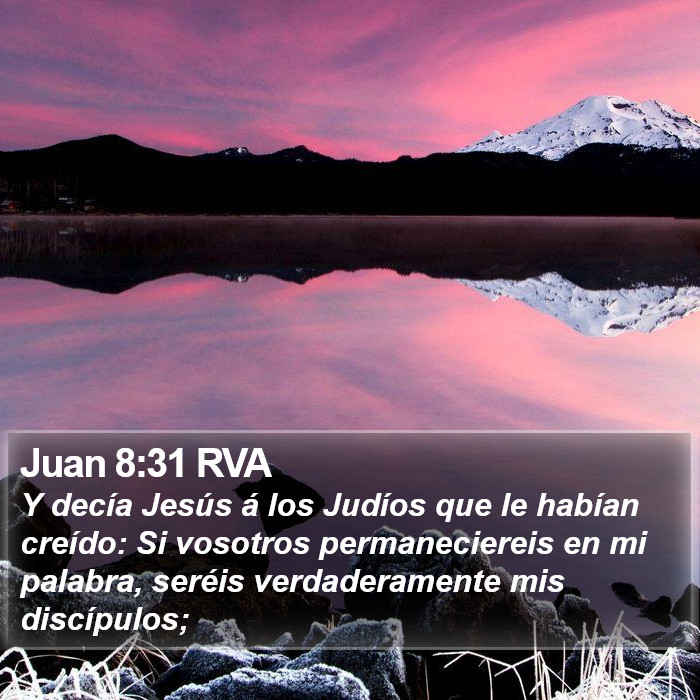 Juan 8:31 RVA Bible Study