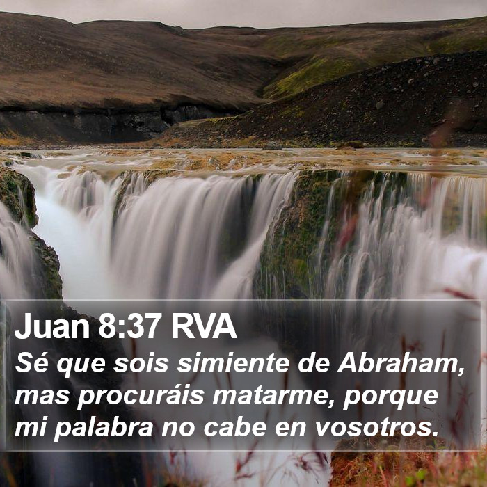 Juan 8:37 RVA Bible Study