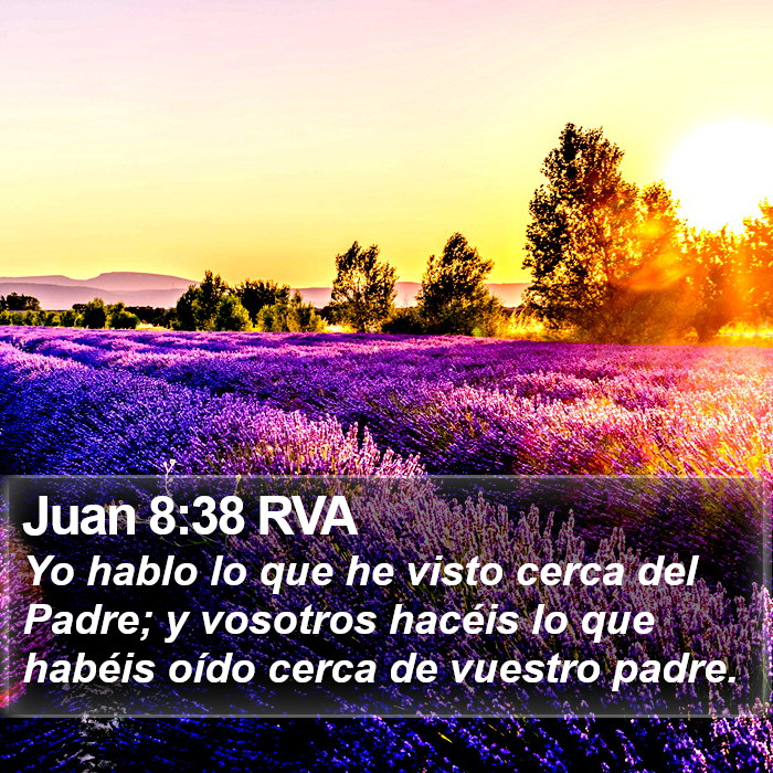 Juan 8:38 RVA Bible Study