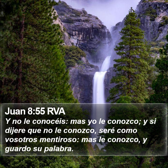 Juan 8:55 RVA Bible Study