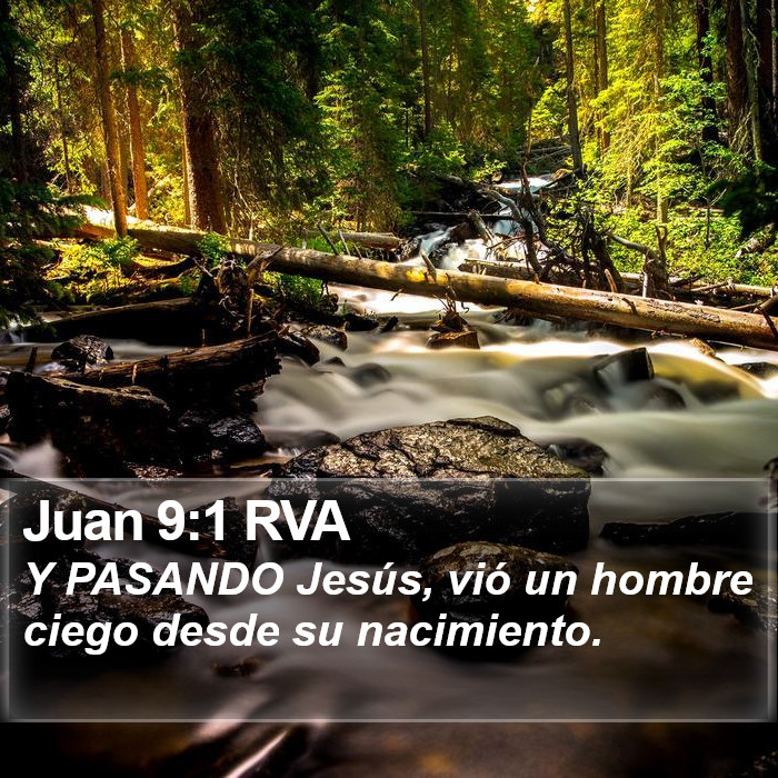 Juan 9:1 RVA Bible Study