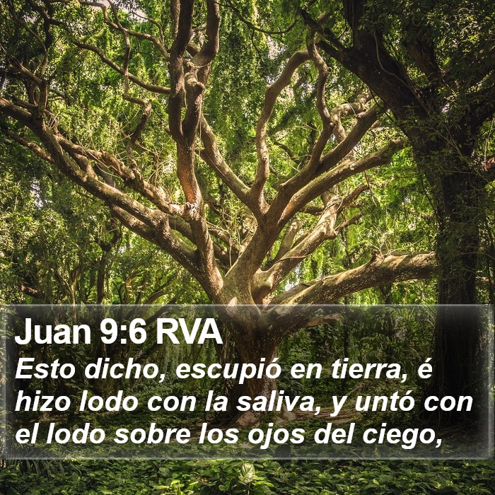 Juan 9:6 RVA Bible Study