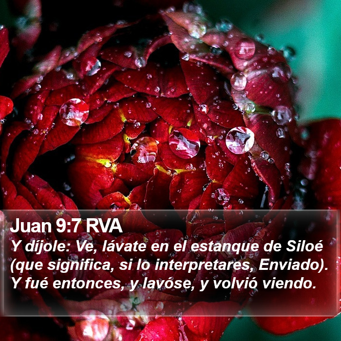 Juan 9:7 RVA Bible Study