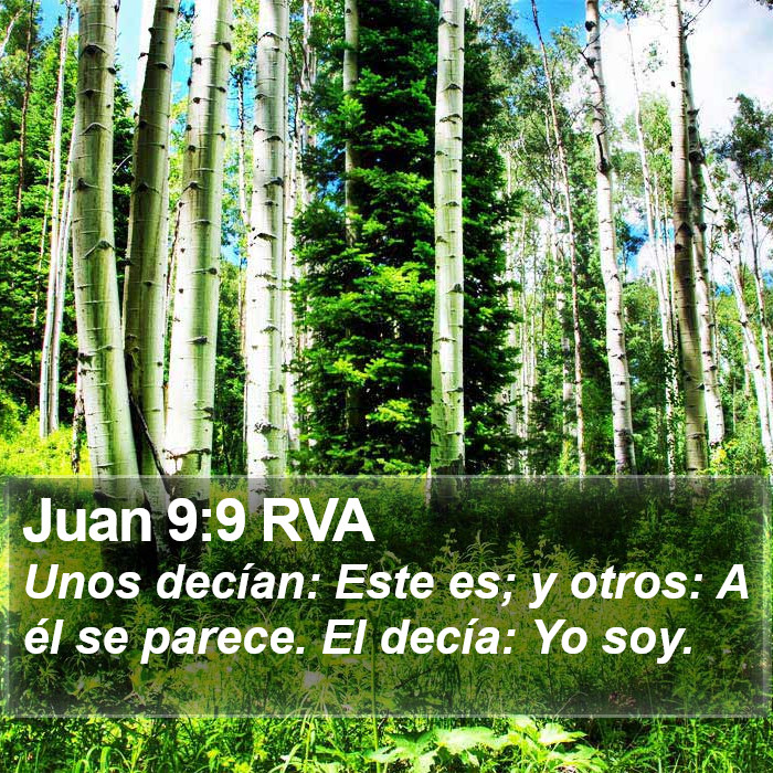 Juan 9:9 RVA Bible Study