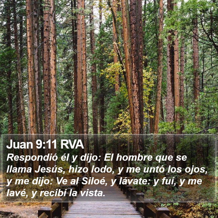 Juan 9:11 RVA Bible Study