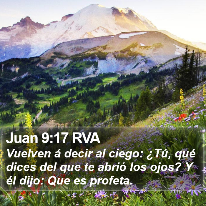 Juan 9:17 RVA Bible Study