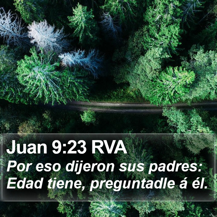 Juan 9:23 RVA Bible Study