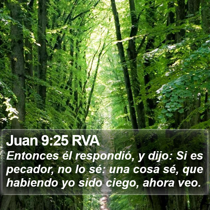 Juan 9:25 RVA Bible Study