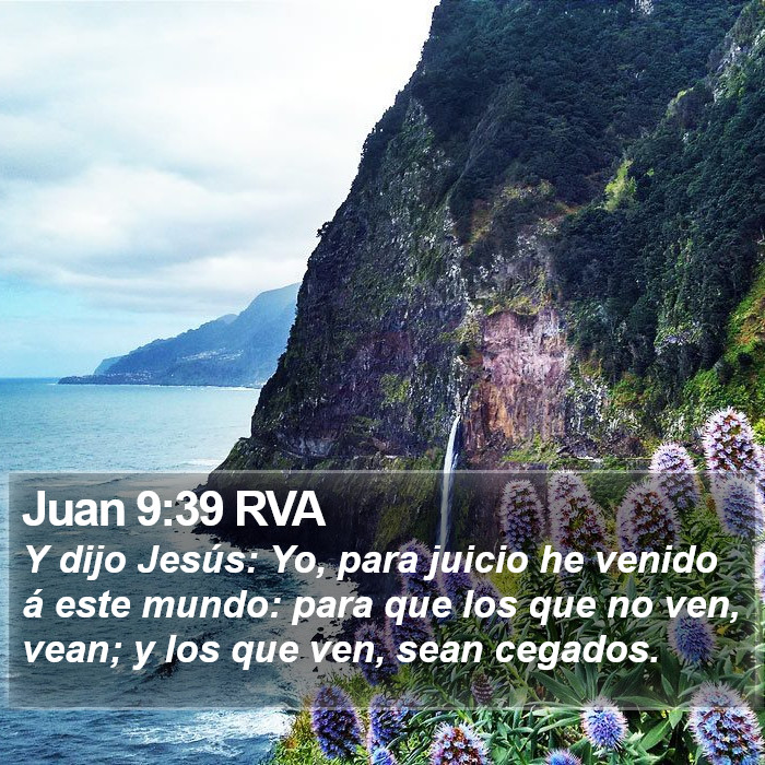 Juan 9:39 RVA Bible Study