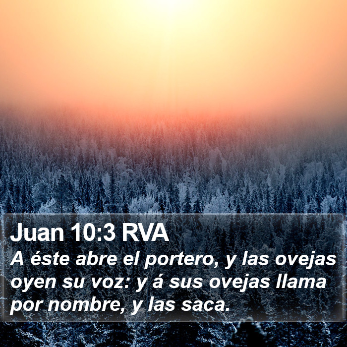 Juan 10:3 RVA Bible Study