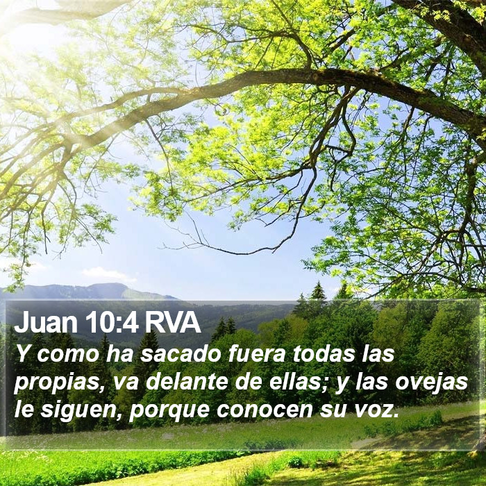 Juan 10:4 RVA Bible Study