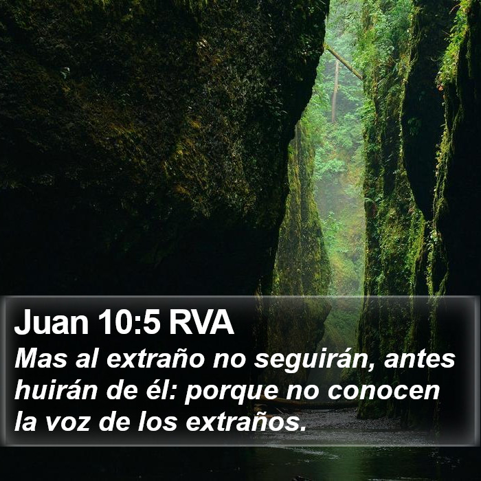 Juan 10:5 RVA Bible Study