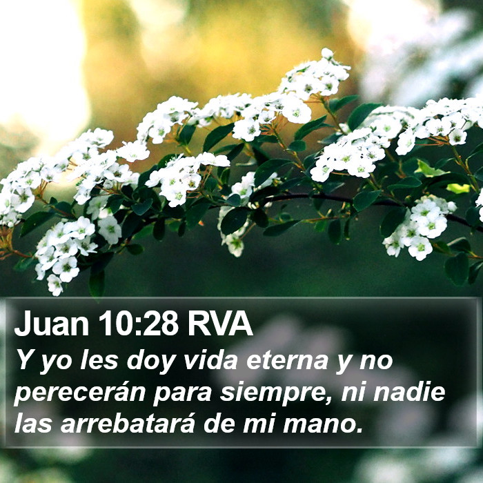 Juan 10:28 RVA Bible Study