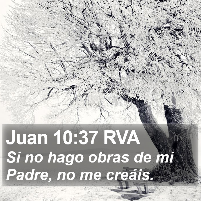 Juan 10:37 RVA Bible Study