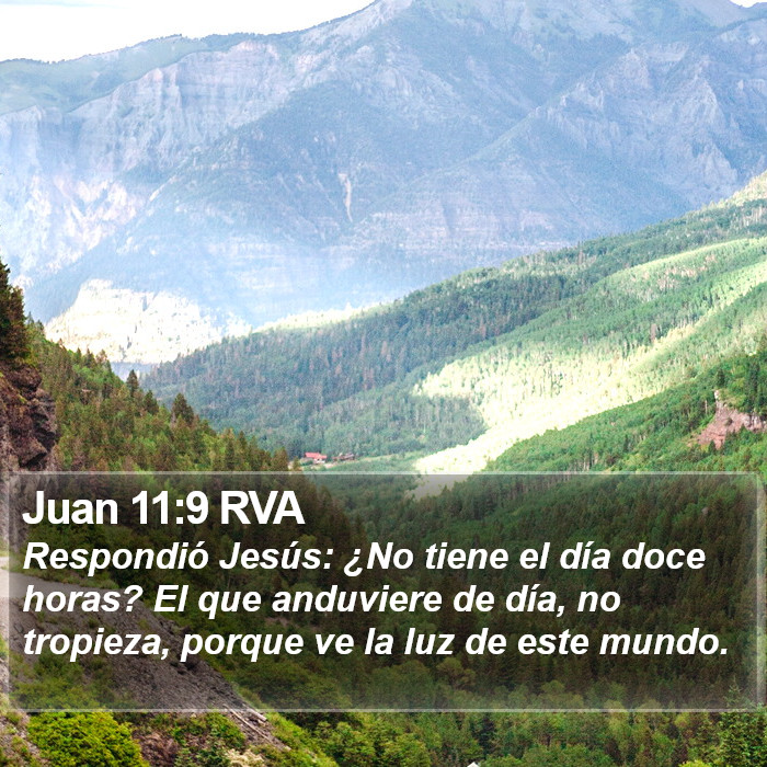 Juan 11:9 RVA Bible Study