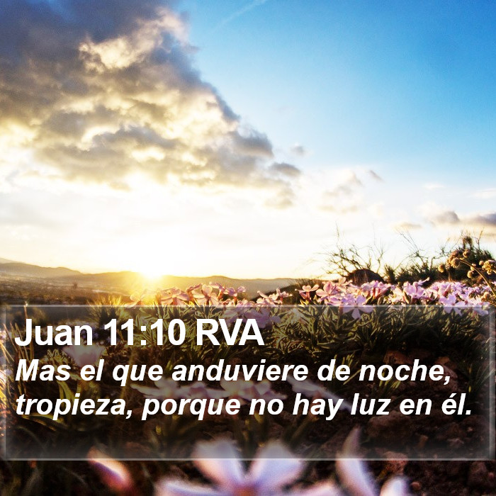 Juan 11:10 RVA Bible Study