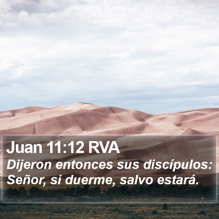 Juan 11:12 RVA Bible Study