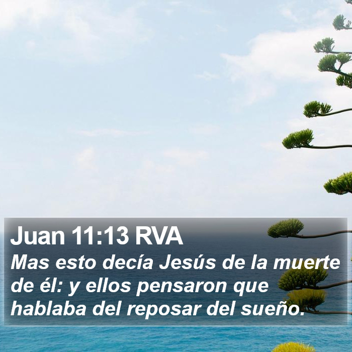 Juan 11:13 RVA Bible Study